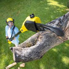 Best Emergency Tree Removal Services  in Eulyptus Hills, CA